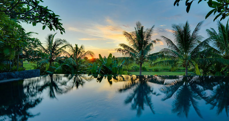 Villa vacacional en alquiler en Bali - Canggu - Canggu - Villa 236 - 20