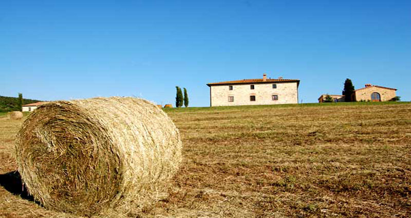 Villa vacacional en alquiler en Italia - Toscana - Pignano - Villa 263 - 10