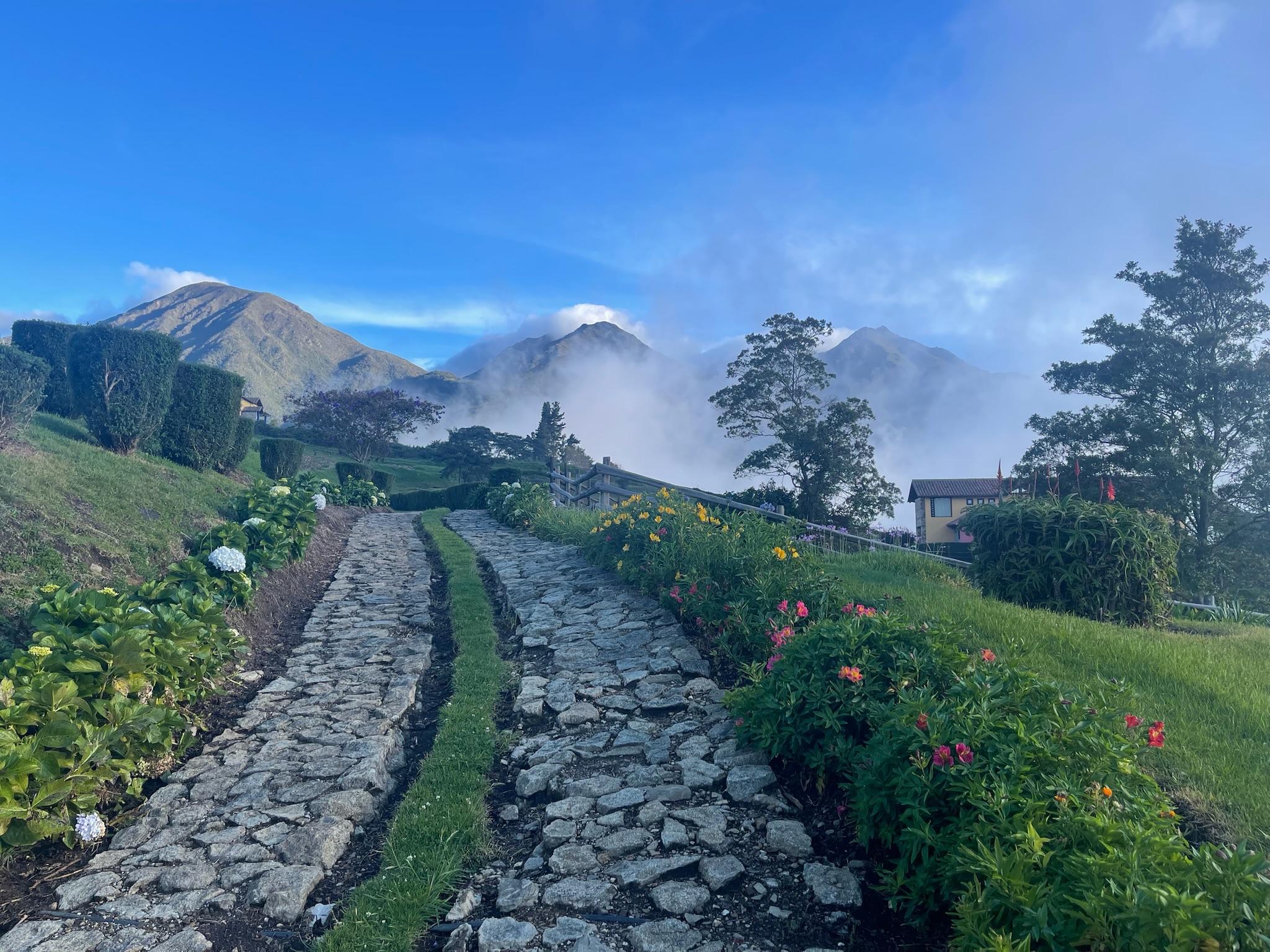 Bed and breakfast in Venezuela - Merida - Mesa Alta - Inn 537 - 10