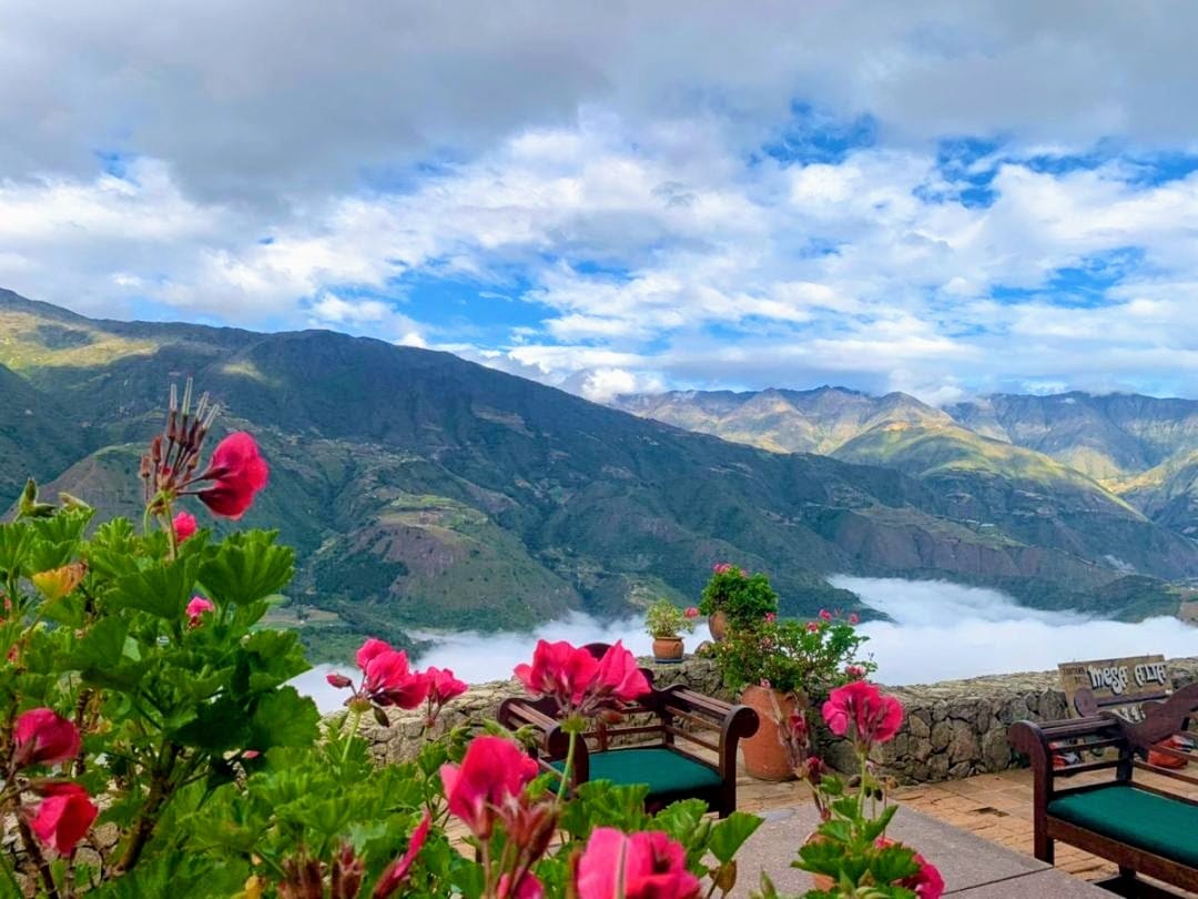 Bed and breakfast in Venezuela - Merida - Mesa Alta - Inn 537 - 2