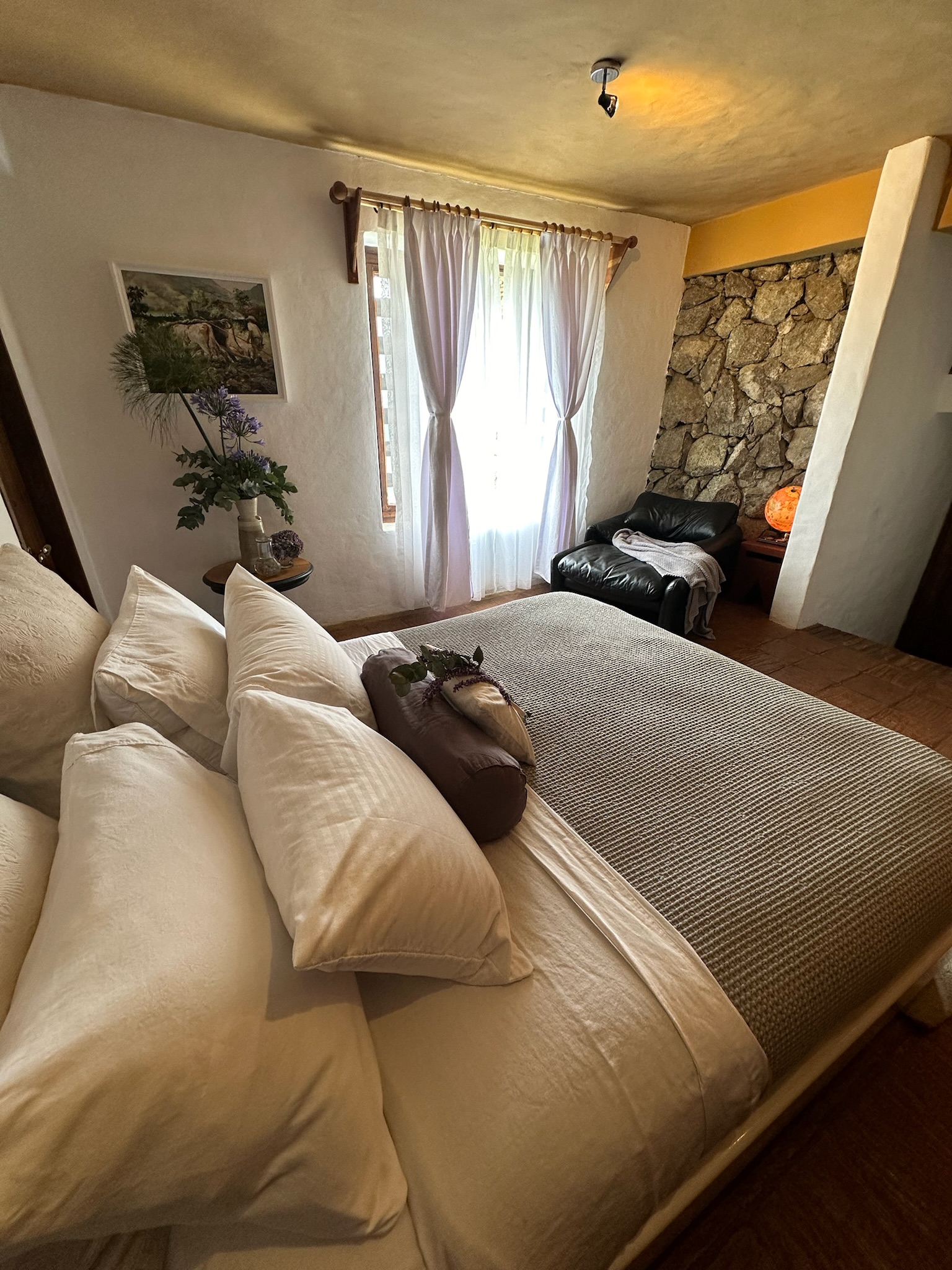 Bed and breakfast in Venezuela - Merida - Mesa Alta - Inn 537 - 35