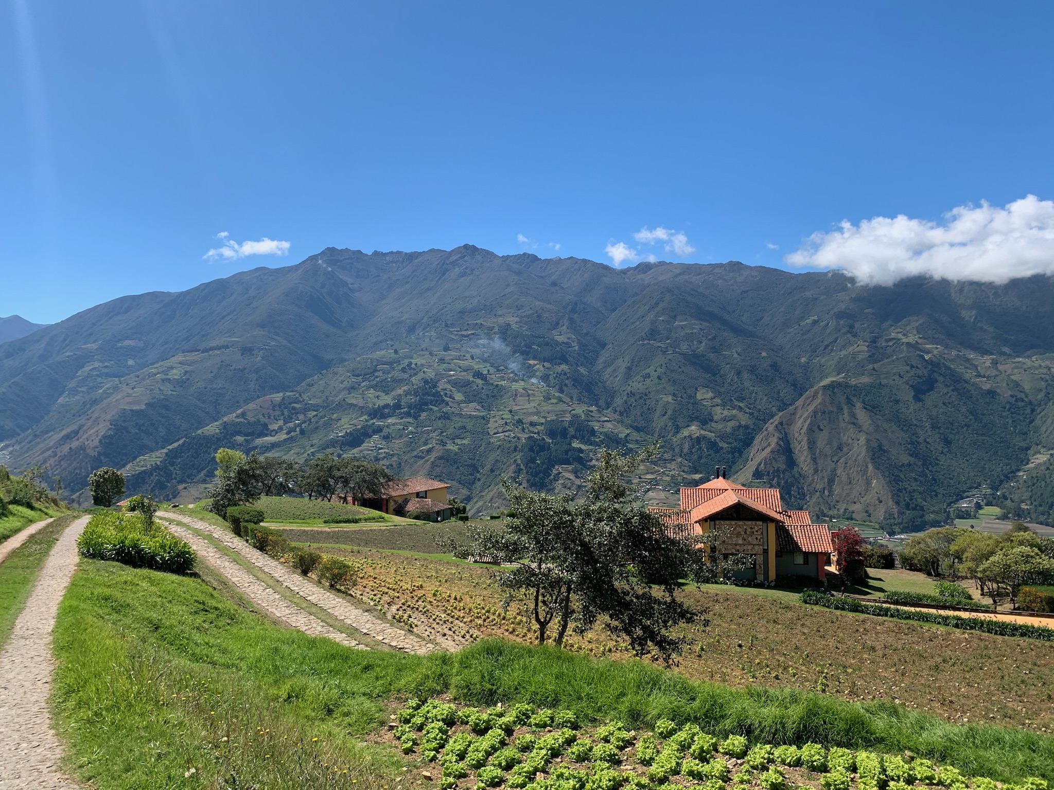 Bed and breakfast in Venezuela - Merida - Mesa Alta - Inn 537 - 4