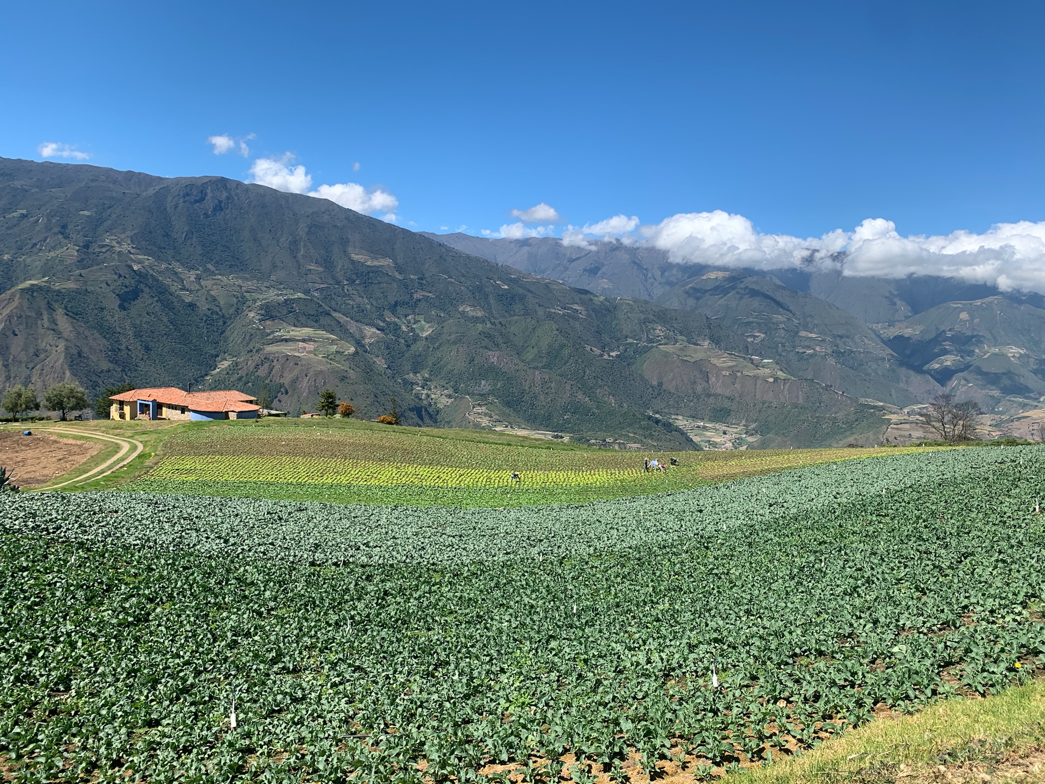 Bed and breakfast in Venezuela - Merida - Mesa Alta - Inn 537 - 5