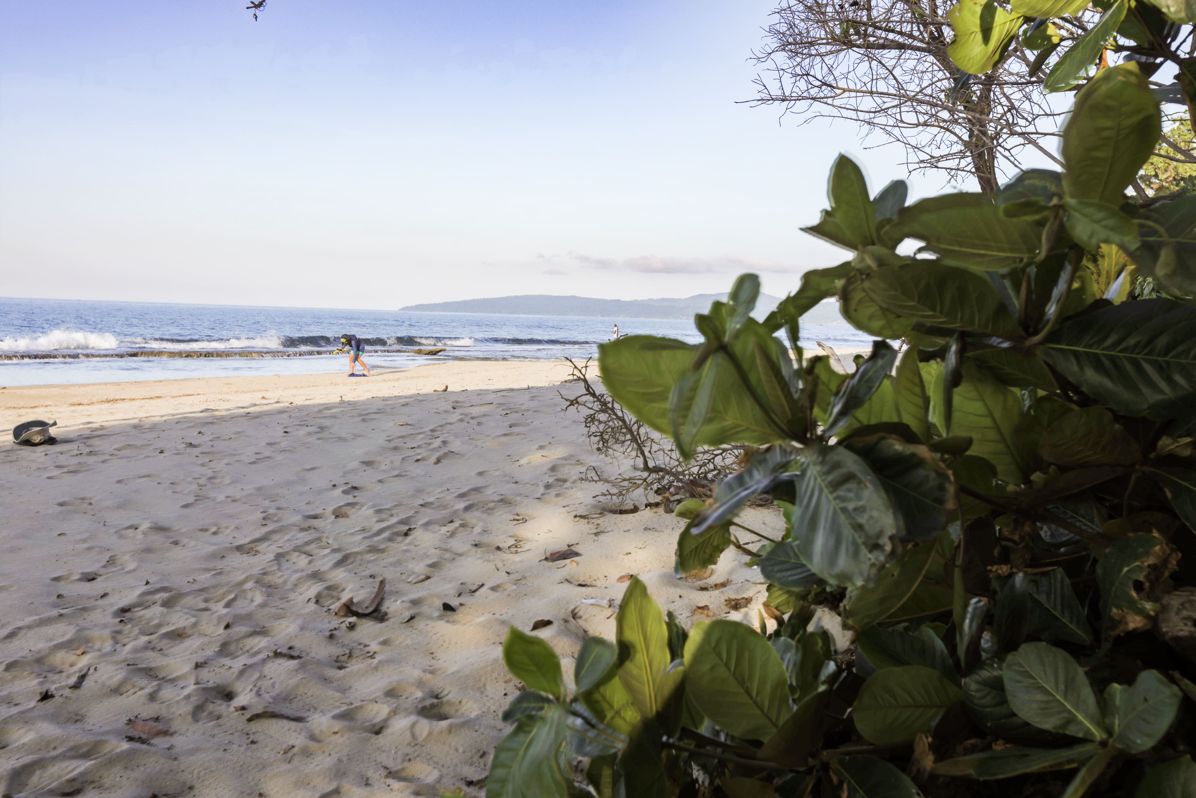 Bed and breakfast in Venezuela - Edo. La Guaira - La Sabana - Inn 541 - 52