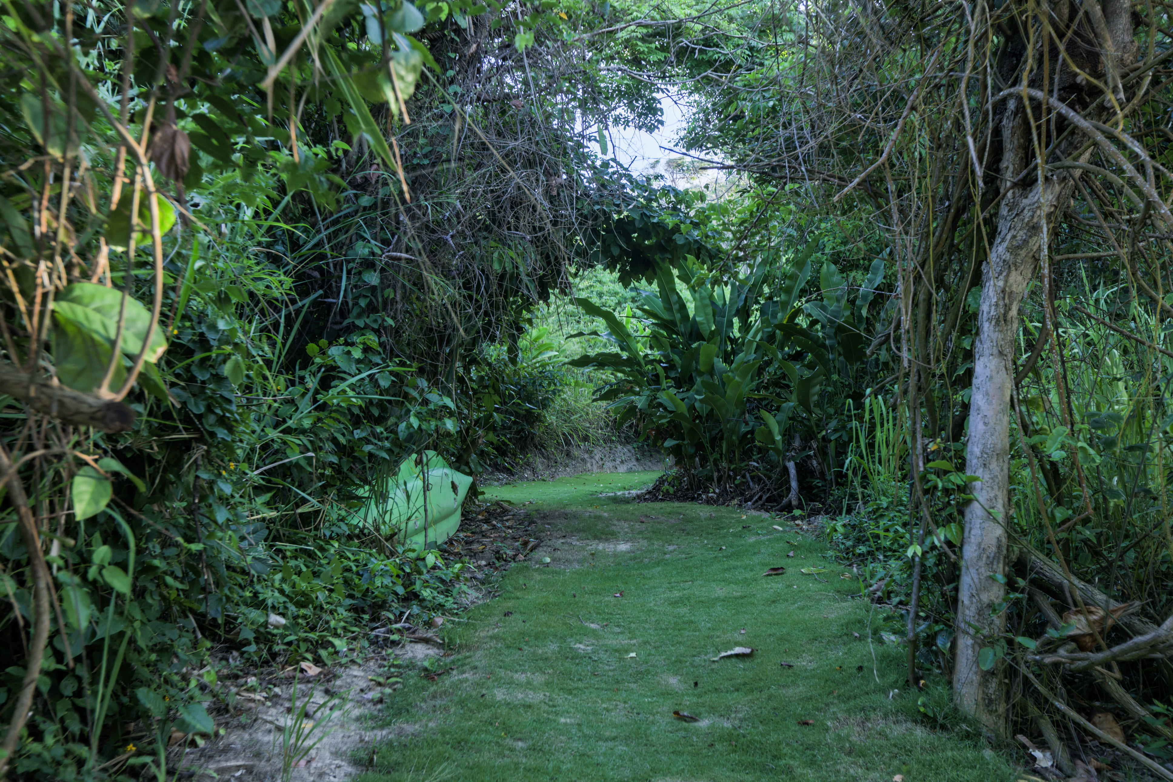 Bed and breakfast in Venezuela - Edo. La Guaira - La Sabana - Inn 541 - 53